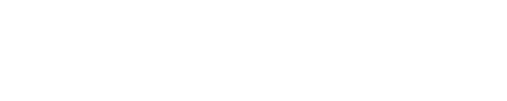 The Roof Detective, LLC